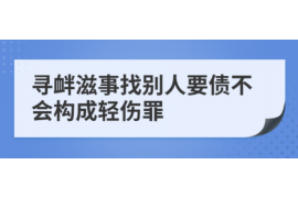 武平武平的要账公司在催收过程中的策略和技巧有哪些？